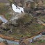thumbs/E5D_4965-2.jpg